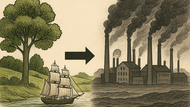 How Britain Industrialised Without Its Forests